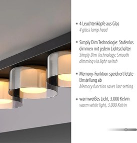 Paul Neuhaus modern mennyezeti lámpa rika fekete pln6164-18