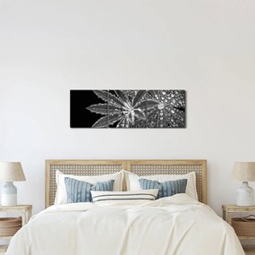 Kép - Levelek cseppekkel (órával) (90x30 cm)