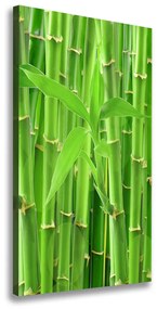 Vászonkép nyomtatás Bambusz erdő ocv-36350386