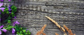 Kép - réti virágok (120x50 cm)