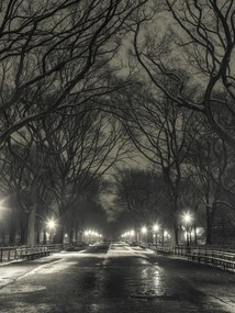 Poszter 60x80cm Éjszakai kilátás a Central Parkon át vezető útra, Assaf Frank