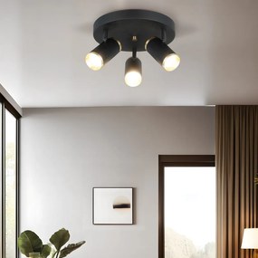 Lume - 70-23