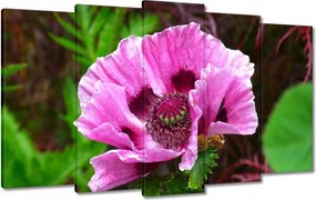 Vászonkép 100x60 Lila virág