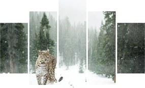Leopárd a hóban képe (150x105 cm)