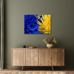 Kép - virág részlet (70x50 cm)