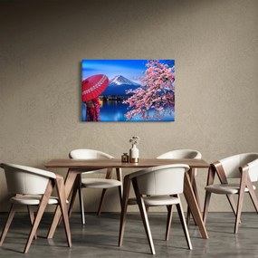 Kép - Kilátás a csúcsra, Japán (90x60 cm)