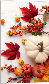 Üveg Vágódeszka 30x52 Sütőtök A Konyhába