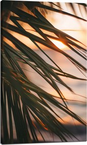 Vászonkép Természet Tengerpart Pálma Tenger Naplemente 60x100