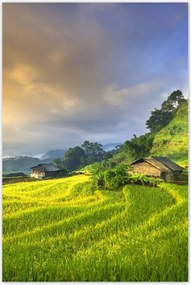 Poszterek 80x120 Kilátás Tájkép