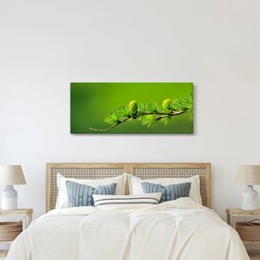 Zöld fenyőtoboz képe (120x50 cm)