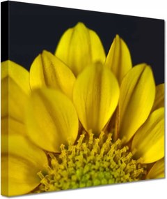 Vászonkép 60x60 Nőnap Ajándék Love