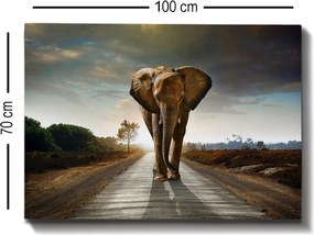 Kanvas vászonkép, 70×100 cm – TR529TCR1570