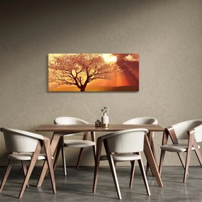 Isten sugarainak képe (120x50 cm)