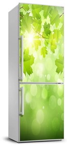 Matrica hűtőre Zöld levelek FridgeStick-70x190-f-61080240