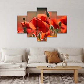 Pipacsok képe (150x105 cm)