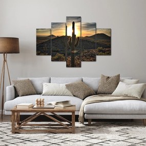 Kép - kaktuszok a napon (150x105 cm)