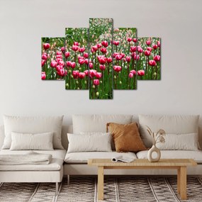 Tulipán képe (150x105 cm)