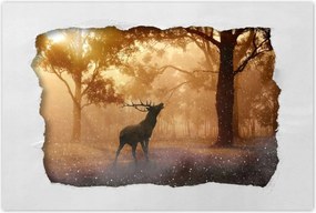 Poszterek 90x60 Szarvas az erdőben