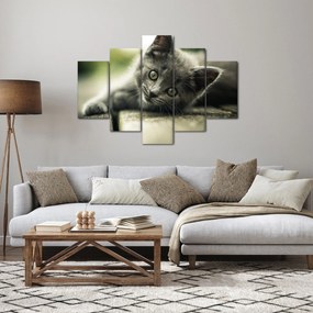 Cica képe (150x105 cm)