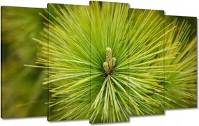 Festmények 100x60 Ág