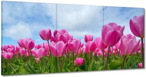 Vászonkép 60x30 Tulipánok Virágok