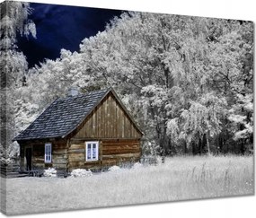 Vászonkép 40x30 Rönkház