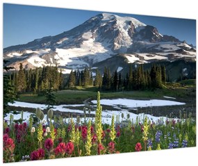 Kép - Mount Rainier (90x60 cm)