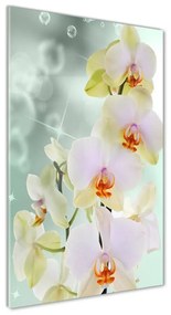 Akrilkép Orchidea oav-91133337