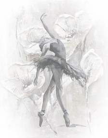 Táncoló Balerina Fotótapéta Fehér Szürke 212cm X 270cm