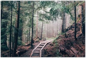Poszterek 120x80 Erdei ösvény
