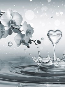 Fotótapéta Orchidea harmatcseppek finomság nyugalom harmónia 206x275 +ragasztó