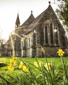 Poszter 40x50cm Húsvéti nárciszok, Assaf Frank