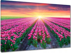 Vászonkép 120x80 Tulipánok tengere Virágok