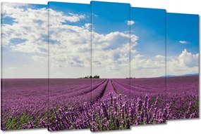 Vászonkép 150x95 Levendulamező Levendula