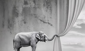 Fotótapéta Flizelina falra 3D Loft Szürreális elefánt 416x254 Ragasztó
