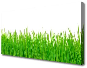 Canvas kép Grass Nature Plant 100x50 cm