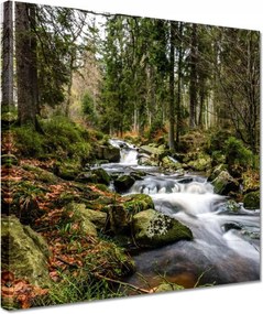 Festmények 30x30 Tájkép