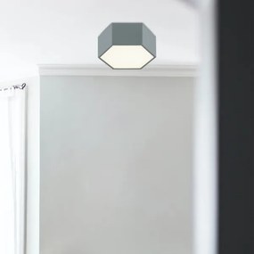 Argon 8784 - LED Mennyezeti lámpa LIBERO LED/12W/230V 3000K szürke