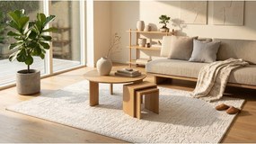 Krémszínű szőnyeg 200x290 cm Celeste – ESTE