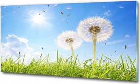 Fotó vászonkép edzett üveg Fehér liliom 125x50