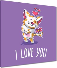 Vászonkép 60x60 Cica