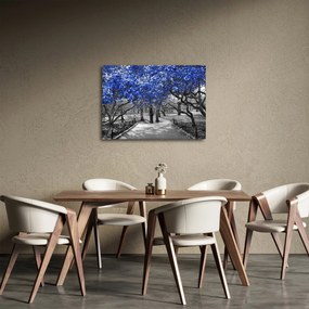 Kép - Kék fák, Central Park, New York (70x50 cm)