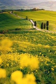 Fotográfia Tuscany, springtime in the afternoon. Path,, Francesco Riccardo Iacomino