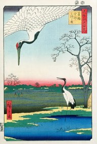 Reprodukció Minowa Kanasugi Mikawashima (Japanese Cranes), Utagawa Hiroshige