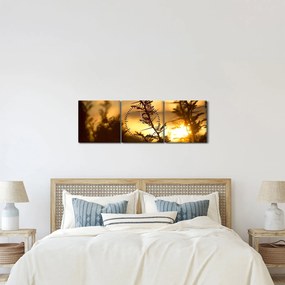 Kép - A nap lenyugszik a fák mögött (órával) (90x30 cm)