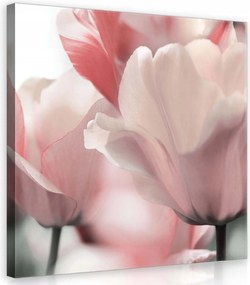 Vászonkép 80x80 Tulipán virágok finomság tavasz pasztell színek természet