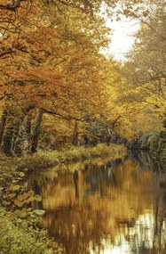 Poszter 53x81cm Csatorna az erdőn át 2, Assaf Frank