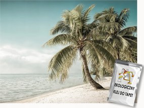 Fotótapéta Flizelina Természet Tengerpart Pálmafák Homok Nap 250x175 ragasztó