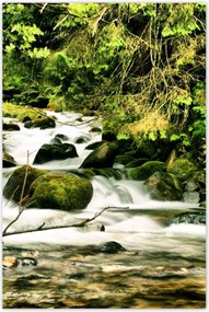 Poszterek 80x120 Folyó a Tátrában