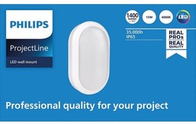 Philips - LED Fali lámpa PROJECTLINE LED/15W/230V IP65